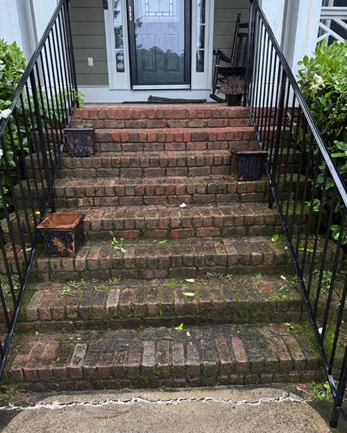 Before image