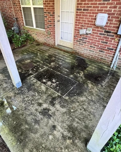 Before image