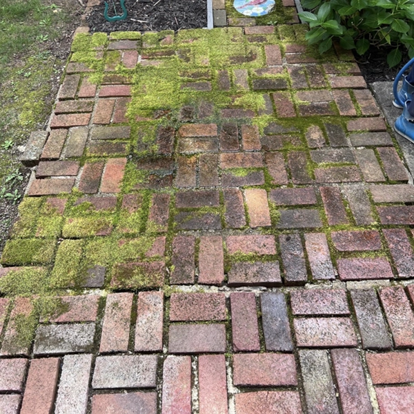 Before image