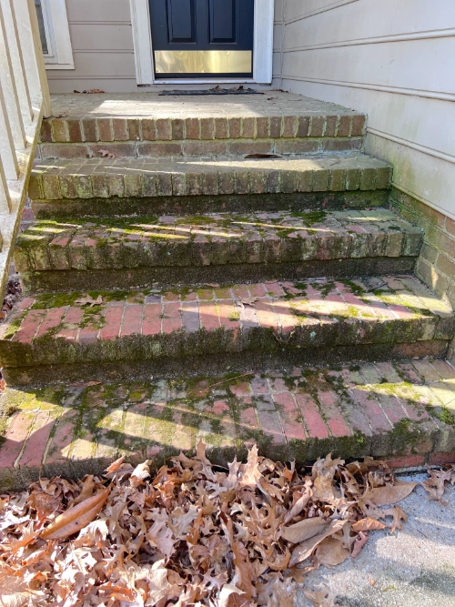 Before image