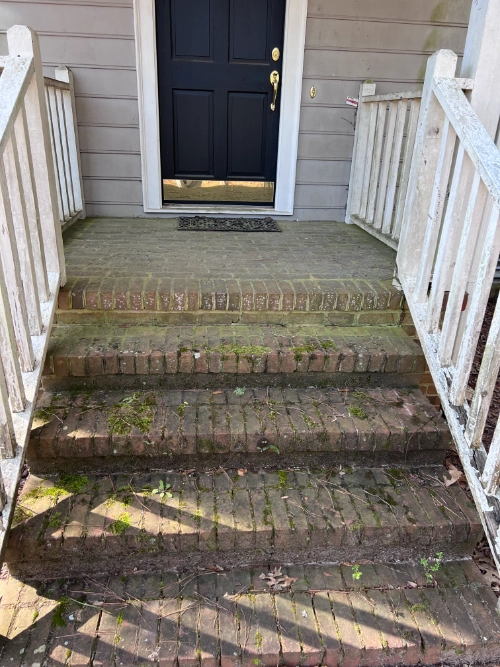 Before image