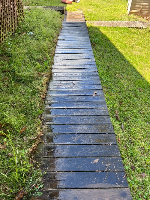 Before image
