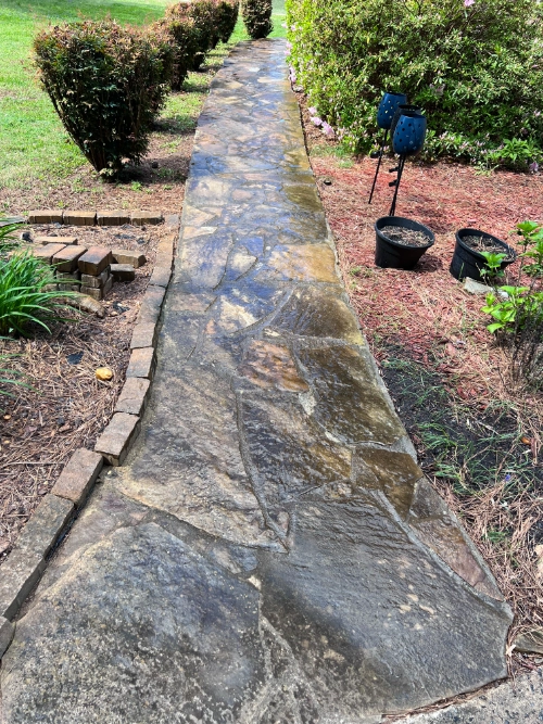 Before image